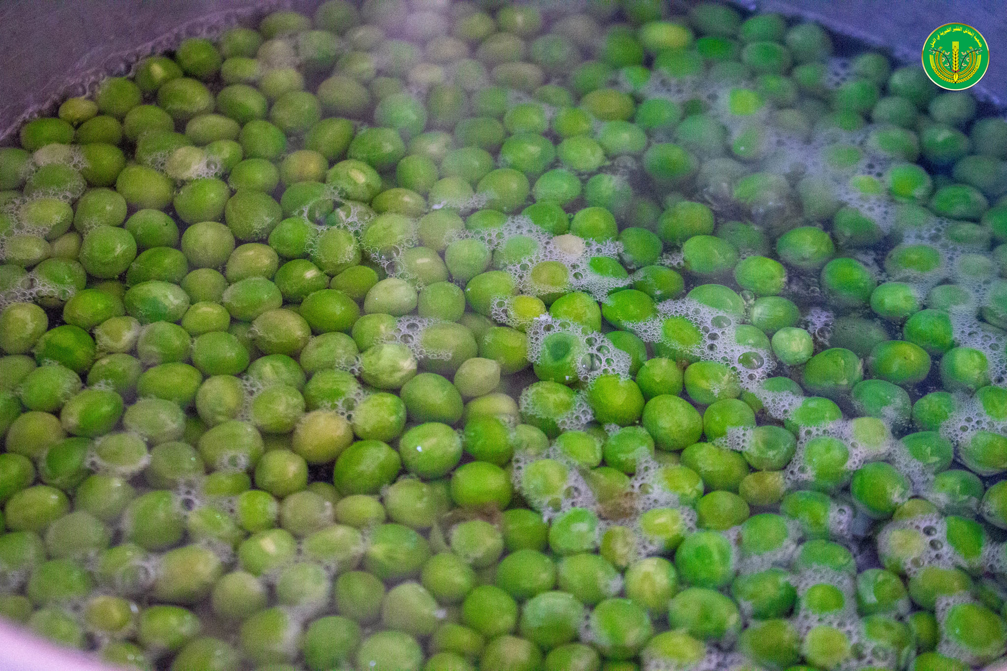 "تجربة مليئة بالتحدي والإبداع في دورة الطبخ بمركز التدريب المهني" ✨